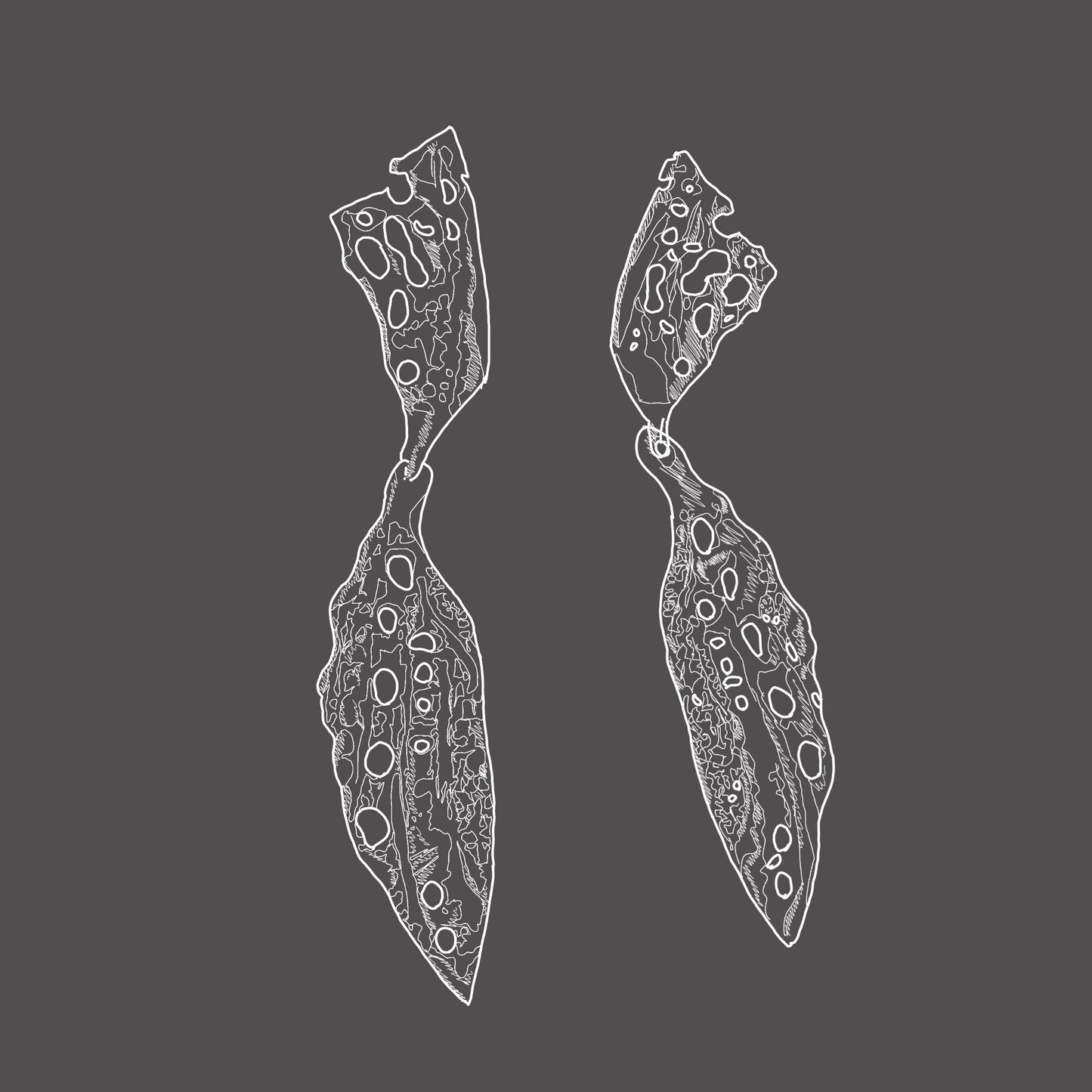 LIBELULISIMA earrings